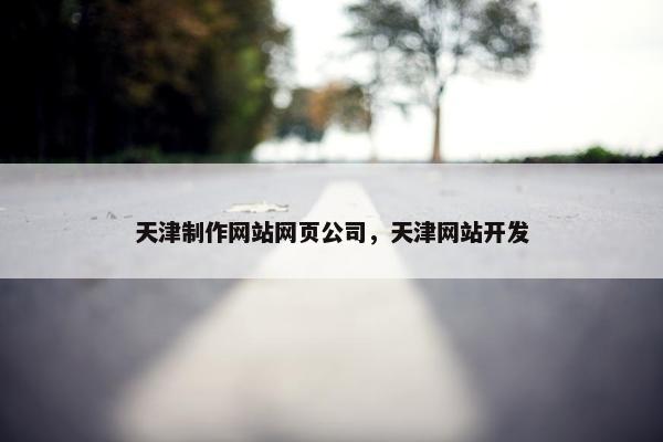 天津制作网站网页公司，天津网站开发