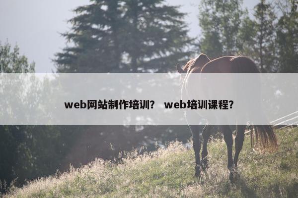 web网站制作培训？ web培训课程？