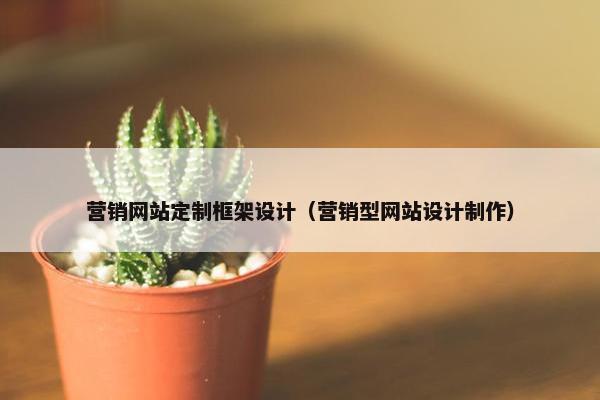 营销网站定制框架设计（营销型网站设计制作）