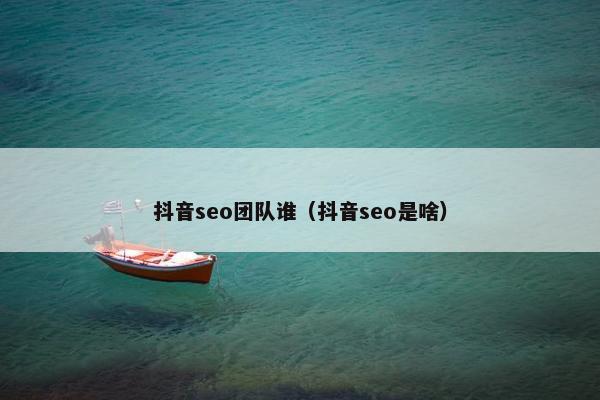 抖音seo团队谁（抖音seo是啥）