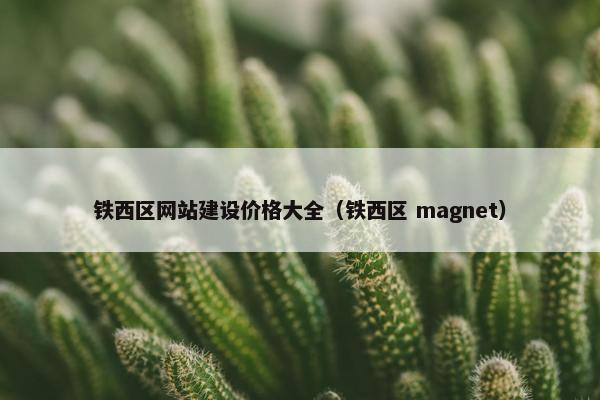 铁西区网站建设价格大全（铁西区 magnet）