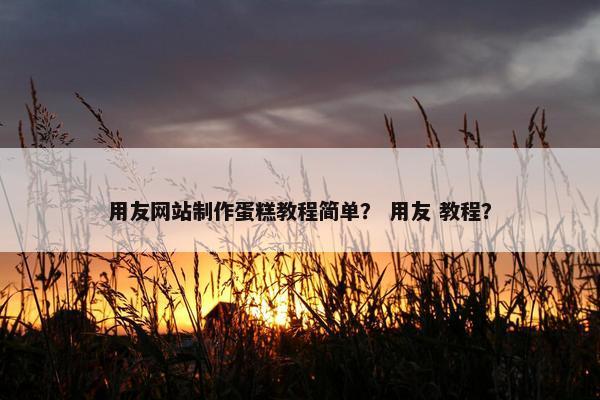 用友网站制作蛋糕教程简单？ 用友 教程？