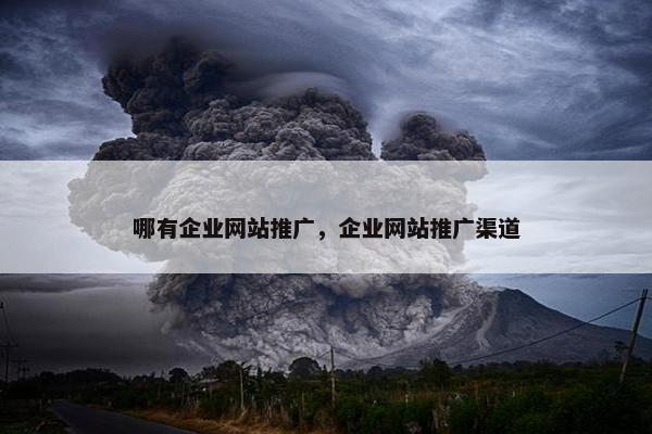 哪有企业网站推广，企业网站推广渠道