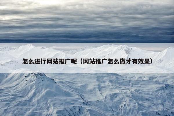 怎么进行网站推广呢（网站推广怎么做才有效果）