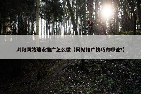 浏阳网站建设推广怎么做（网站推广技巧有哪些?）