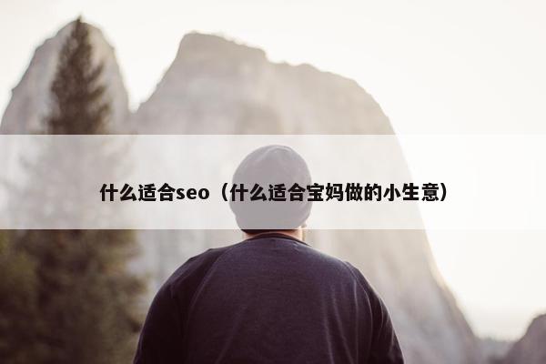 什么适合seo（什么适合宝妈做的小生意）