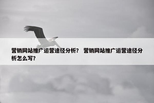 营销网站推广运营途径分析？ 营销网站推广运营途径分析怎么写？