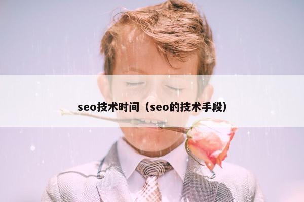 seo技术时间（seo的技术手段）