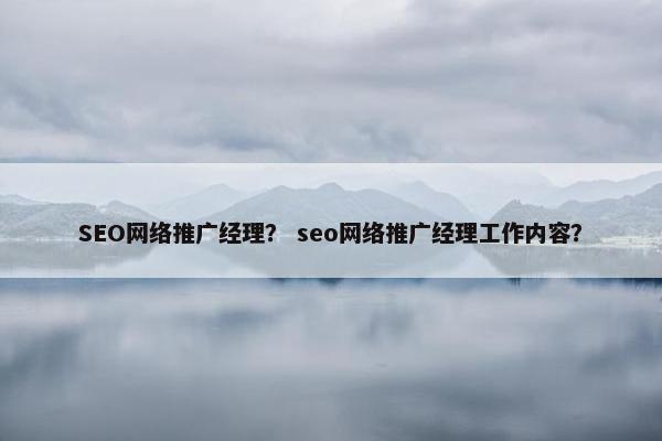 SEO网络推广经理？ seo网络推广经理工作内容？