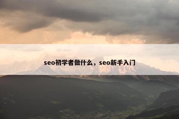 seo初学者做什么，seo新手入门