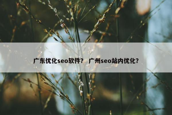 广东优化seo软件？ 广州seo站内优化？