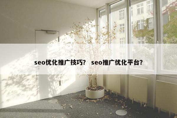 seo优化推广技巧？ seo推广优化平台？