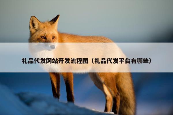 礼品代发网站开发流程图（礼品代发平台有哪些）