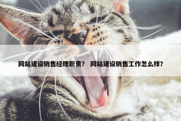 网站建设销售经理职责？ 网站建设销售工作怎么样？