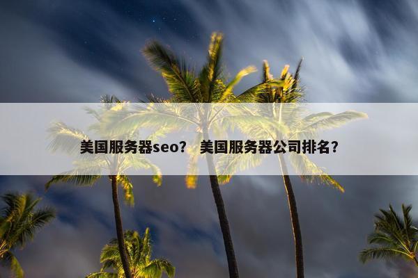 美国服务器seo？ 美国服务器公司排名？