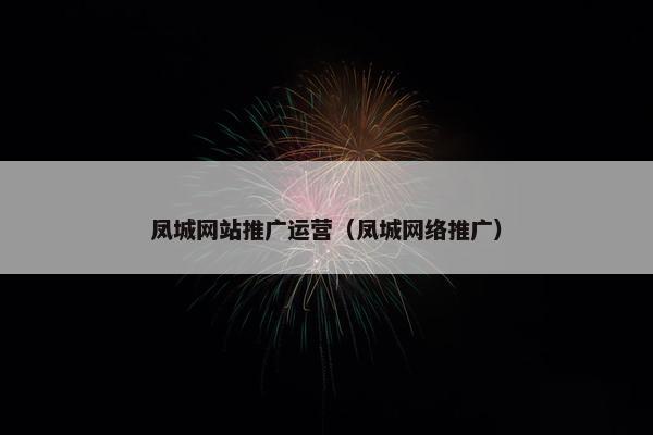 凤城网站推广运营（凤城网络推广）