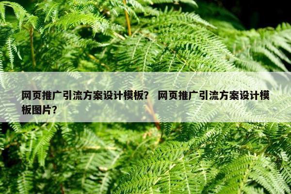 网页推广引流方案设计模板？ 网页推广引流方案设计模板图片？