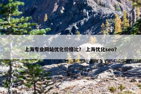上海专业网站优化价格比？ 上海优化seo？