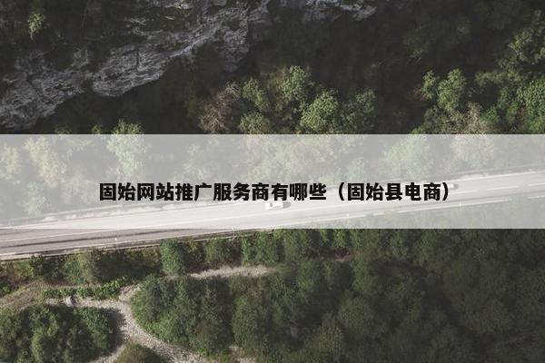 固始网站推广服务商有哪些（固始县电商）
