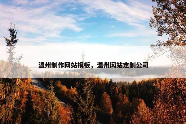 温州制作网站模板，温州网站定制公司