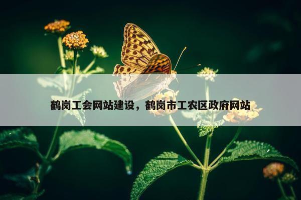 鹤岗工会网站建设，鹤岗市工农区政府网站