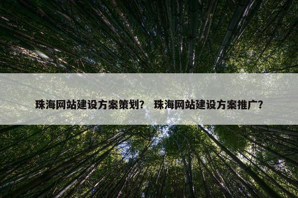 珠海网站建设方案策划？ 珠海网站建设方案推广？