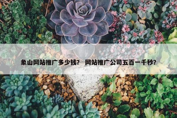 象山网站推广多少钱？ 网站推广公司五百一千秒？
