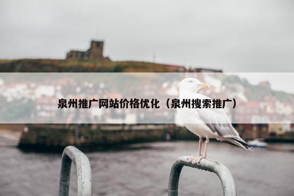 泉州推广网站价格优化（泉州搜索推广）