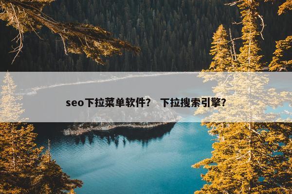 seo下拉菜单软件？ 下拉搜索引擎？