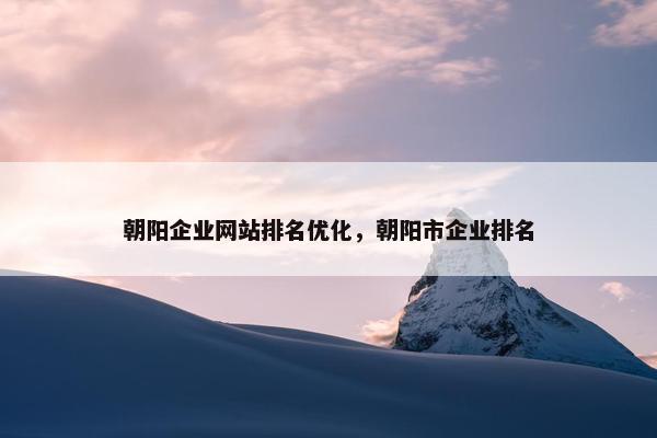 朝阳企业网站排名优化，朝阳市企业排名