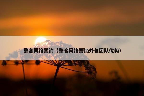 整合网络营销（整合网络营销外包团队优势）