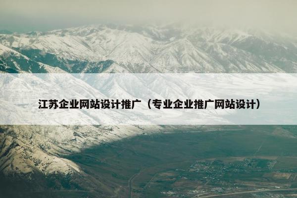 江苏企业网站设计推广（专业企业推广网站设计）