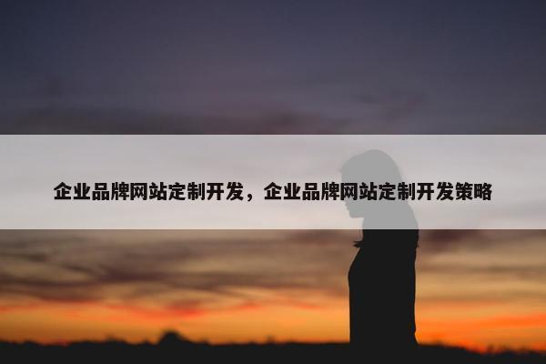 企业品牌网站定制开发，企业品牌网站定制开发策略