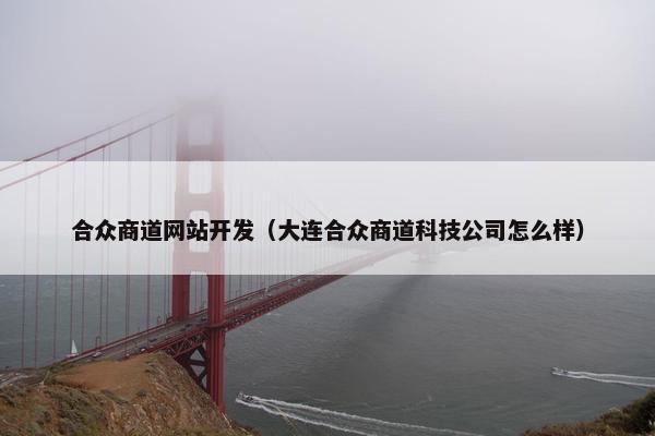 合众商道网站开发（大连合众商道科技公司怎么样）