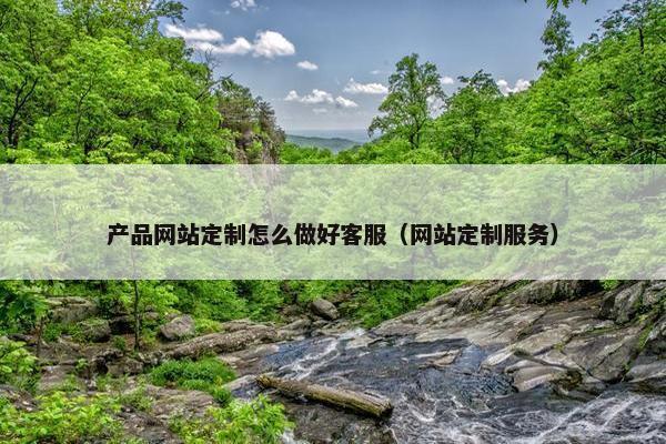 产品网站定制怎么做好客服（网站定制服务）