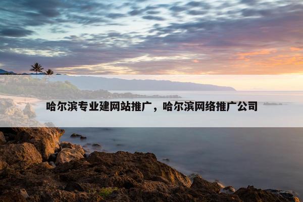 哈尔滨专业建网站推广，哈尔滨网络推广公司