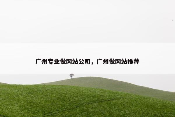 广州专业做网站公司，广州做网站推荐