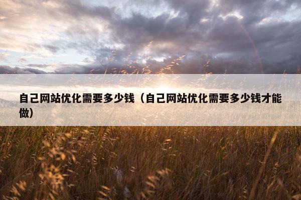 自己网站优化需要多少钱（自己网站优化需要多少钱才能做）