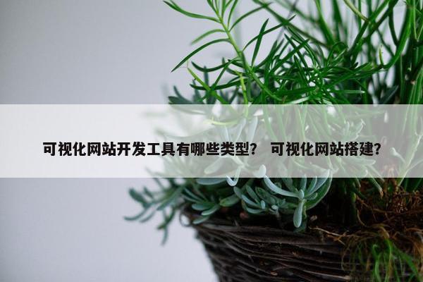 可视化网站开发工具有哪些类型？ 可视化网站搭建？