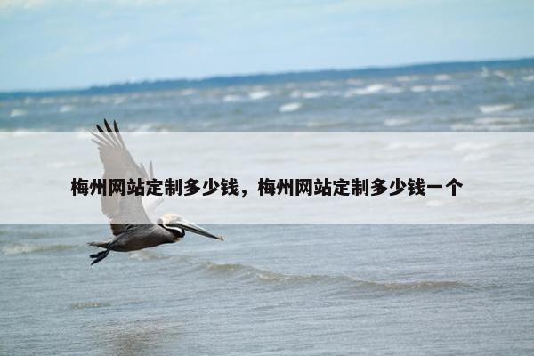 梅州网站定制多少钱，梅州网站定制多少钱一个