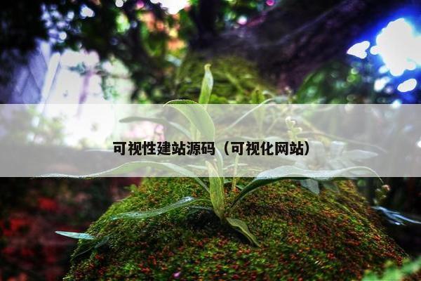 可视性建站源码（可视化网站）
