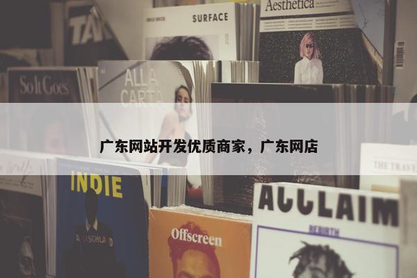 广东网站开发优质商家，广东网店