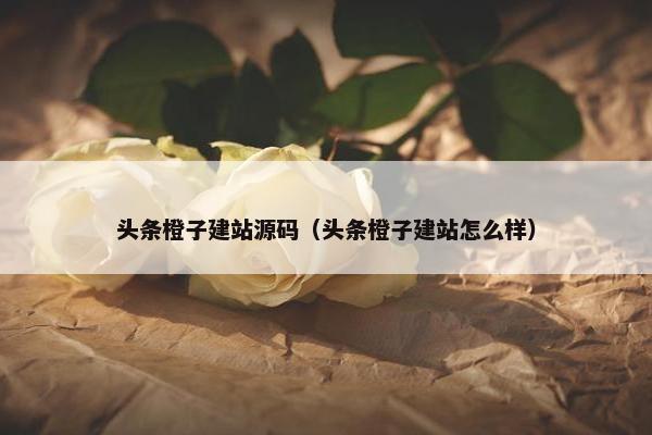 头条橙子建站源码（头条橙子建站怎么样）