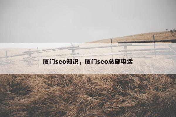 厦门seo知识，厦门seo总部电话