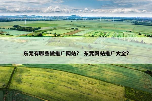 东莞有哪些做推广网站？ 东莞网站推广大全？