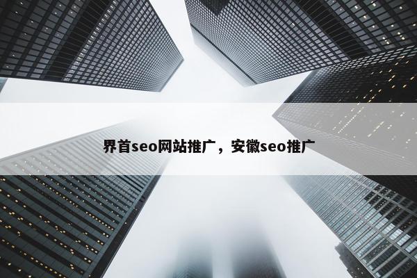 界首seo网站推广，安徽seo推广