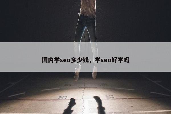 国内学seo多少钱，学seo好学吗