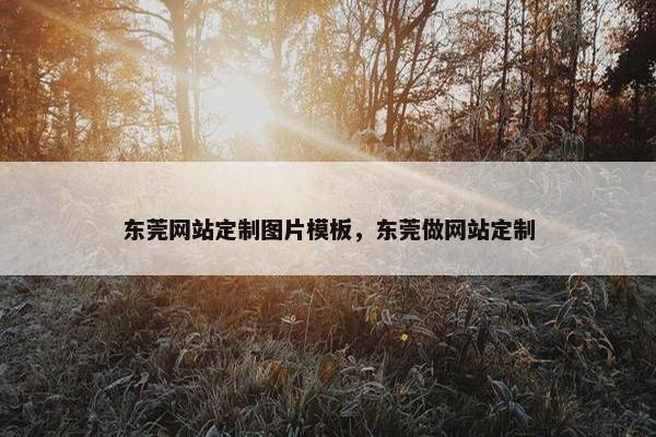 东莞网站定制图片模板，东莞做网站定制