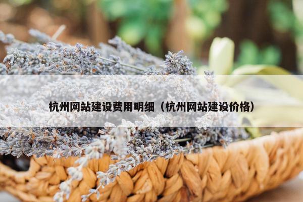 杭州网站建设费用明细（杭州网站建设价格）