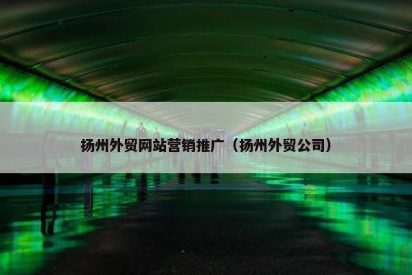 扬州外贸网站营销推广（扬州外贸公司）